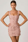 Embellished Appliqué Corset Mini Dress in Dusty Rose – view 1